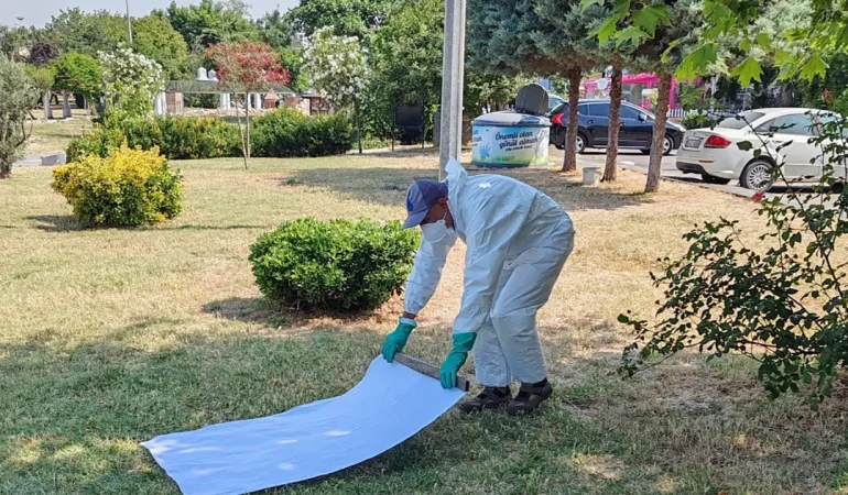 İstanbul Büyükşehir’den kene ile mücadele