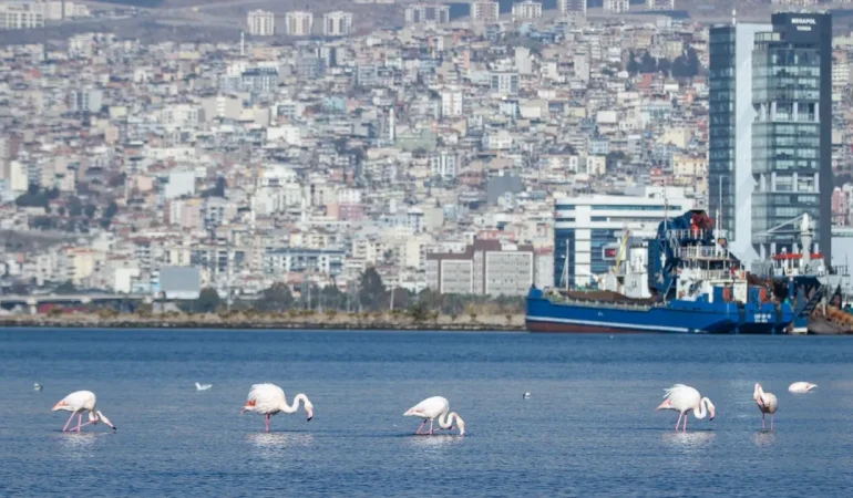 İzmir ‘iklim nötr’ hedeflerini dünyaya tanıttı