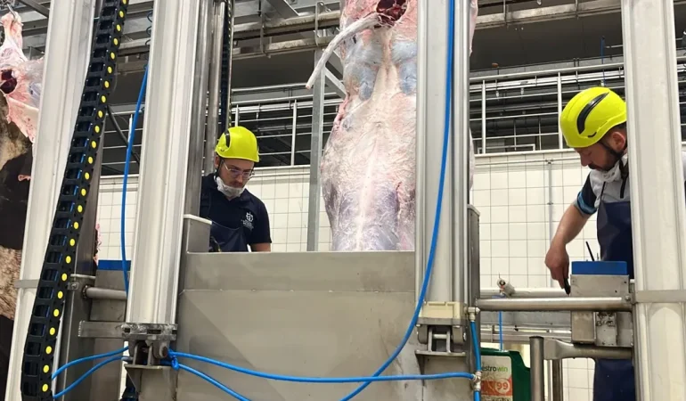 Kocaeli’den uyarı… Sakatatları açık halde çöpe atmayın