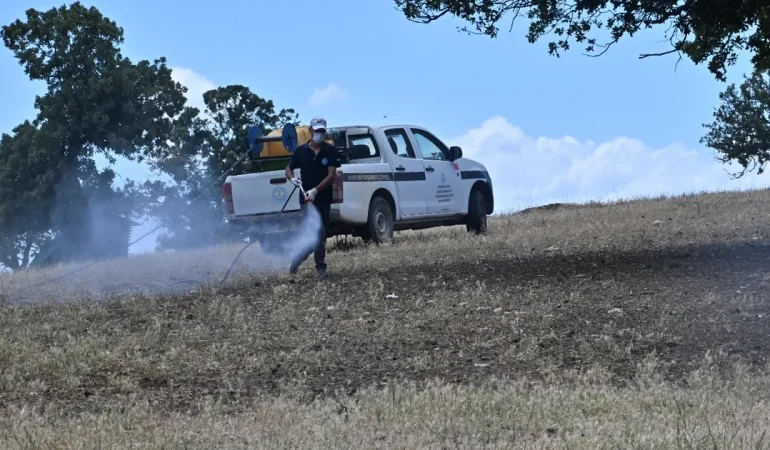 Manisa’da çekirge istilasına karşı mücadele