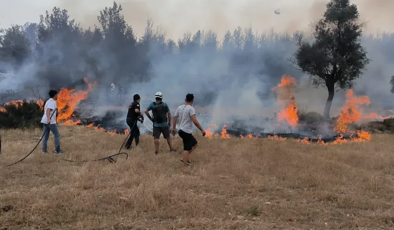Muğla Büyükşehir ekipleri 6 Ayda 380 anız yangınına müdahale etti