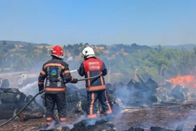 sakarya-sogutludeki-orman-yangini-kontrol-altina-alindi-kUnj4SMw.webp