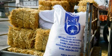 ankara-da-mandacilara-yuzde-yuz-hibeli-yem-destegi-1765371700-469_large