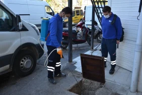 antalya-da-vektorel-mucadele-calismalari-suruyor-1764972407-643_large