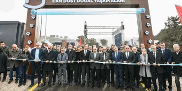 balikesir-den-sokak-hayvanlarina-sicak-yuva-1765373598-781_large