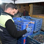 bursa-gemlik-belediyesi-nden-ureticiye-destek-1764837257-323_large