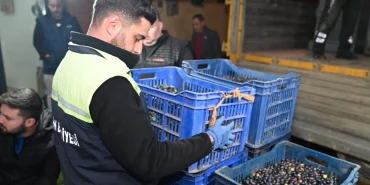 bursa-gemlik-belediyesi-nden-ureticiye-destek-1764837257-323_large