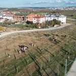 bursa-inegol-de-572-fidanli-koruluk-akhisar-a-nefes-oldu-1764678566-147_large