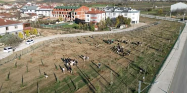 bursa-inegol-de-572-fidanli-koruluk-akhisar-a-nefes-oldu-1764678566-147_large