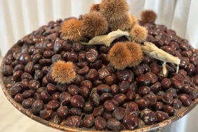 bursa-kestanesi-nin-gelecegi-masaya-yatirildi-1765351438-612_large