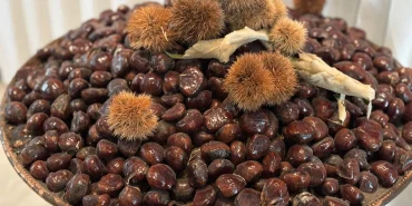 bursa-kestanesi-nin-gelecegi-masaya-yatirildi-1765351438-612_large