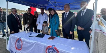 bursa-orhangazi-ye-turkiye-nin-en-modern-sokak-hayvanlari-merkezi-acildi-1764859378-156_large