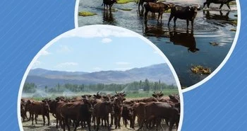 halk-elinde-islaha-2-7-milyar-tl-destek-1765115175-526_large