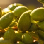 izmir-kooperatifcilik-bulusmalari-19-aralik-ta-1764831191-719_large