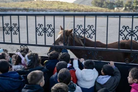 izmirli-cocuklara-hayvan-sevgisi-kazandiriliyor-1765350036-386_large