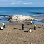 kocaeli-de-yilin-ucuncu-donem-deniz-copu-izleme-faaliyeti-1764954550-30_large