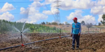 kocaeli-toramanlar-da-sulama-suyu-toprakla-bulustu-1764747716-905_large