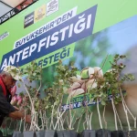 konya-da-antep-fistigi-yayginlasiyor-1764841428-89_large