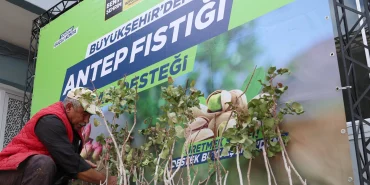 konya-da-antep-fistigi-yayginlasiyor-1764841428-89_large