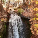 mardin-in-gizli-cenneti-renk-cumbusune-dondu-1764839418-780_large