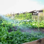 mersin-hobi-parki-nda-kis-hazirliklari-tamamlandi-1764829579-938_large