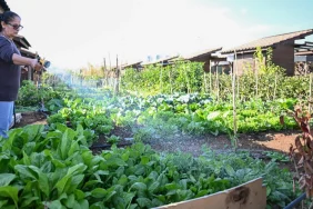 mersin-hobi-parki-nda-kis-hazirliklari-tamamlandi-1764829579-938_large