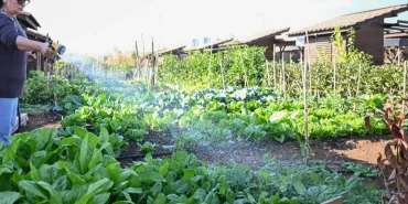 mersin-hobi-parki-nda-kis-hazirliklari-tamamlandi-1764829579-938_large