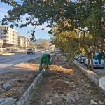 mugla-milas-in-dort-bir-yani-yesile-burunuyor-1764745077-774_large