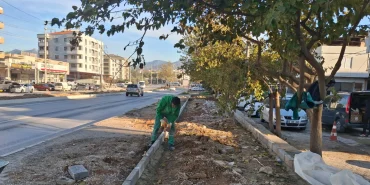 mugla-milas-in-dort-bir-yani-yesile-burunuyor-1764745077-774_large