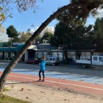 ordu-da-tehlike-arz-eden-agaclar-icin-guvenlik-calismasi-1764843345-292_large